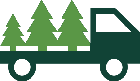 Fresh Christmas trees Delivered to you